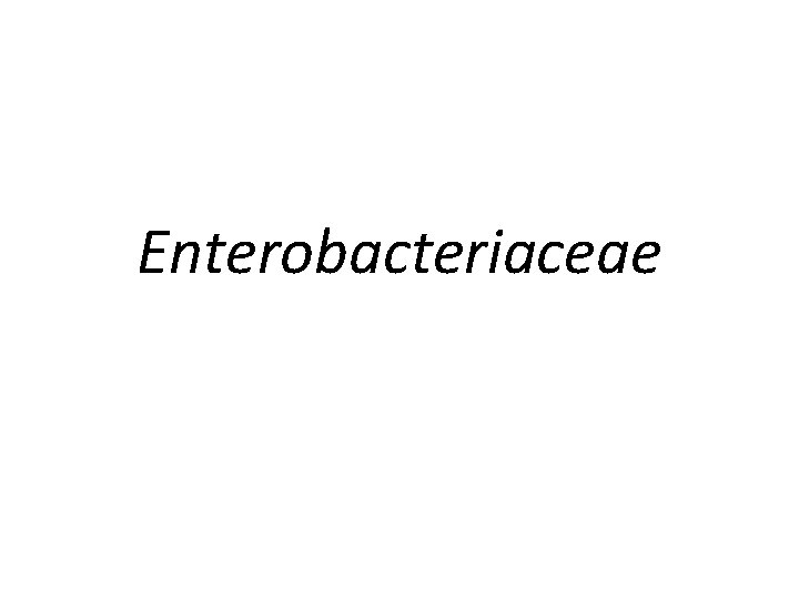 Enterobacteriaceae 