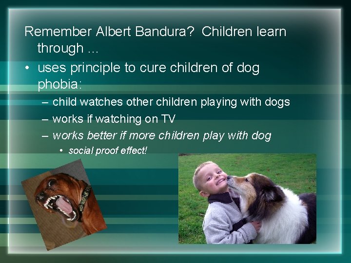 Remember Albert Bandura? Children learn through … • uses principle to cure children of