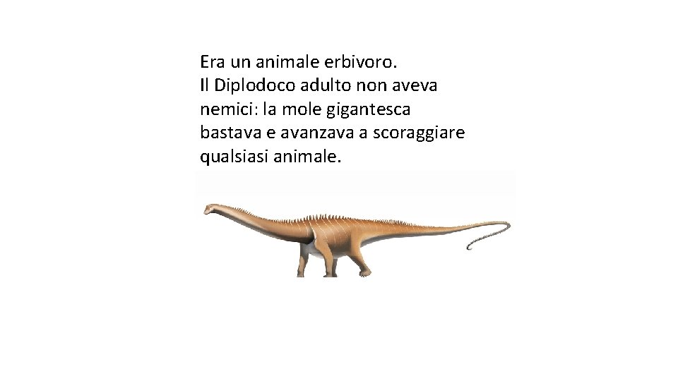 Era un animale erbivoro. Il Diplodoco adulto non aveva nemici: la mole gigantesca bastava