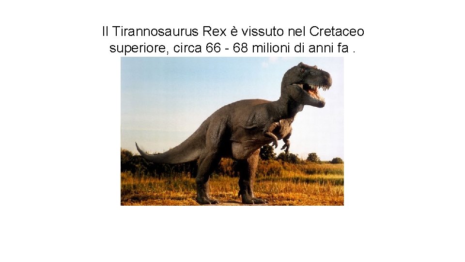 Il Tirannosaurus Rex è vissuto nel Cretaceo superiore, circa 66 - 68 milioni di