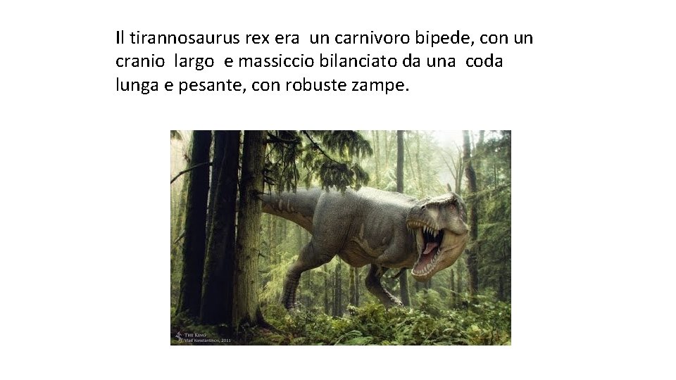 Il tirannosaurus rex era un carnivoro bipede, con un cranio largo e massiccio bilanciato