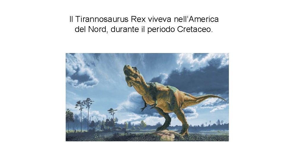 Il Tirannosaurus Rex viveva nell’America del Nord, durante il periodo Cretaceo. 