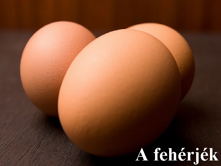 A fehérjék 