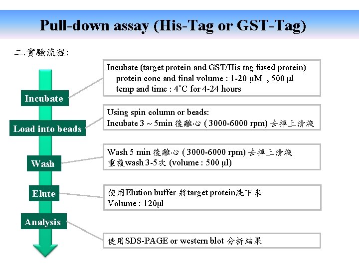Pull-down assay (His-Tag or GST-Tag) 二. 實驗流程: Incubate Load into beads Wash Elute Incubate