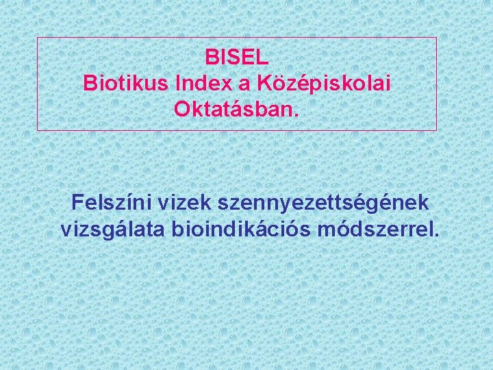 BISEL Biotikus Index a Középiskolai Oktatásban. Felszíni vizek szennyezettségének vizsgálata bioindikációs módszerrel. 