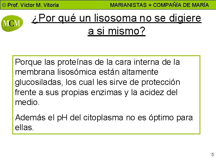 © Prof. Víctor M. Vitoria MARIANISTAS + COMPAÑÍA DE MARÍA ¿Por qué un lisosoma