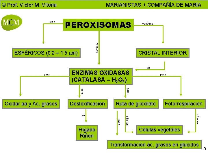 © Prof. Víctor M. Vitoria PEROXISOMAS contiene son MARIANISTAS + COMPAÑÍA DE MARÍA ESFÉRICOS