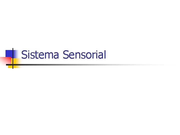 Sistema Sensorial 