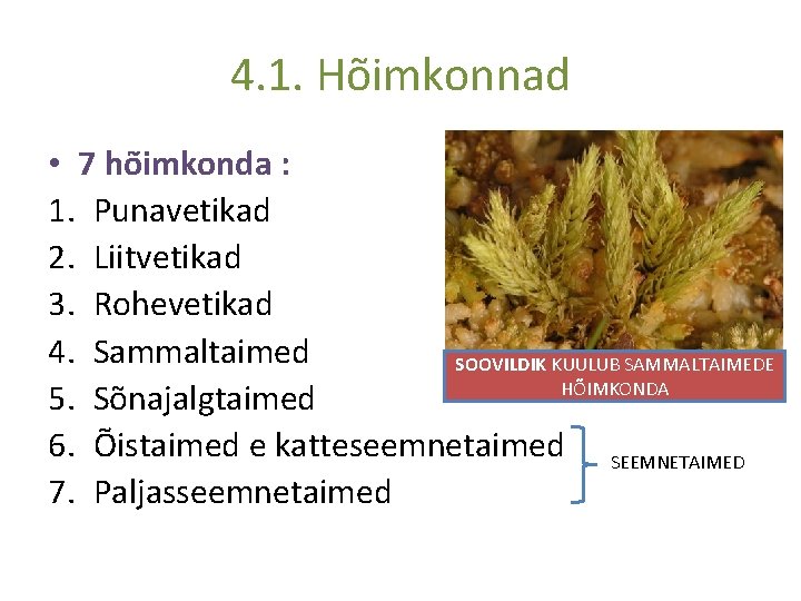4. 1. Hõimkonnad • 7 hõimkonda : 1. Punavetikad 2. Liitvetikad 3. Rohevetikad 4.