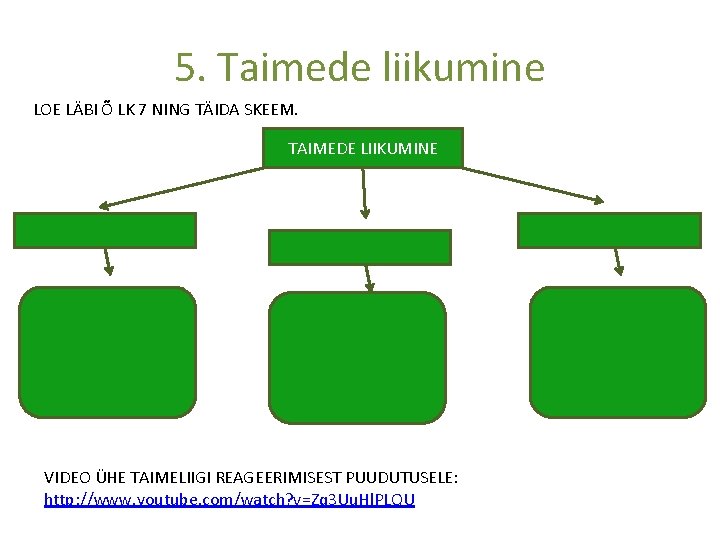 5. Taimede liikumine LOE LÄBI Õ LK 7 NING TÄIDA SKEEM. TAIMEDE LIIKUMINE VIDEO