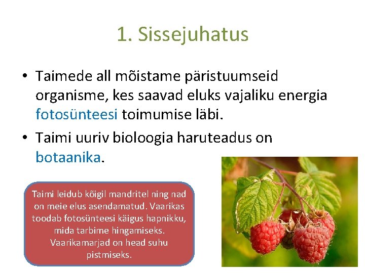 1. Sissejuhatus • Taimede all mõistame päristuumseid organisme, kes saavad eluks vajaliku energia fotosünteesi