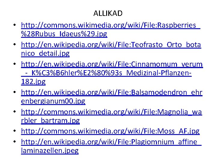 ALLIKAD • http: //commons. wikimedia. org/wiki/File: Raspberries_ %28 Rubus_Idaeus%29. jpg • http: //en. wikipedia.