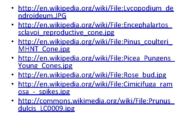  • http: //en. wikipedia. org/wiki/File: Lycopodium_de ndroideum. JPG • http: //en. wikipedia. org/wiki/File: