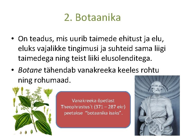 2. Botaanika • On teadus, mis uurib taimede ehitust ja elu, eluks vajalikke tingimusi