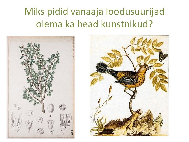 Miks pidid vanaaja loodusuurijad olema ka head kunstnikud? 