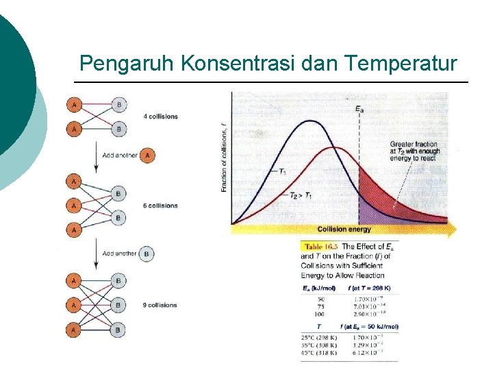 Pengaruh Konsentrasi dan Temperatur 