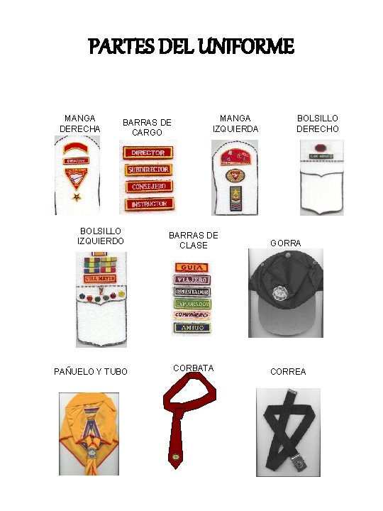 PARTES DEL UNIFORME MANGA DERECHA BARRAS DE CARGO BOLSILLO IZQUIERDO PAÑUELO Y TUBO MANGA