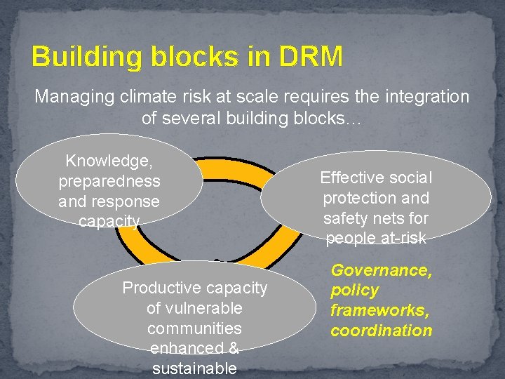 Building blocks in DRM Managing climate risk at scale requires the integration of several