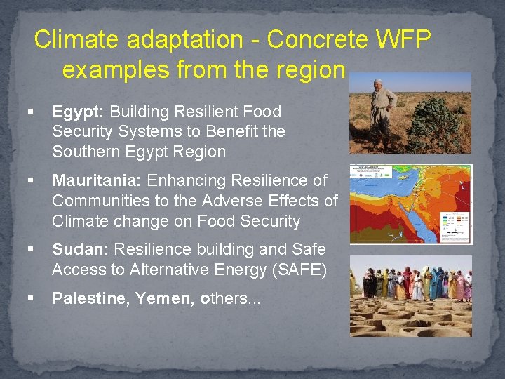 Climate adaptation - Concrete WFP examples from the region § Egypt: Building Resilient Food