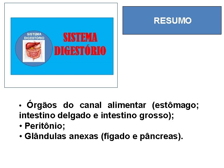 RESUMO • Órgãos do canal alimentar (estômago; intestino delgado e intestino grosso); • Peritônio;