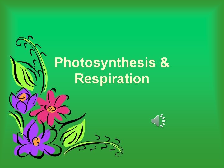 Photosynthesis & Respiration 