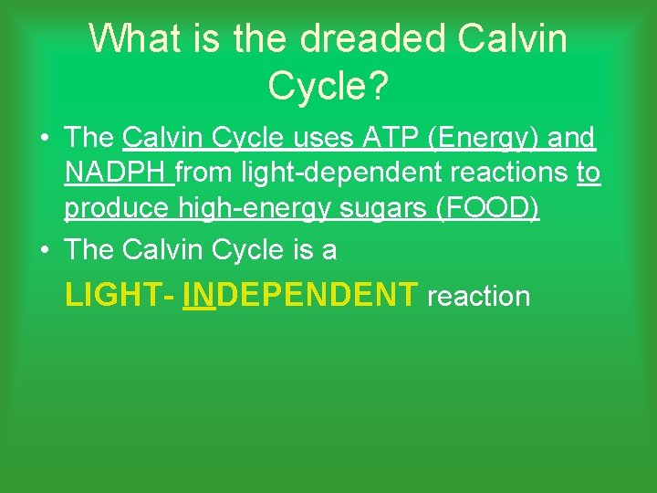 What is the dreaded Calvin Cycle? • The Calvin Cycle uses ATP (Energy) and