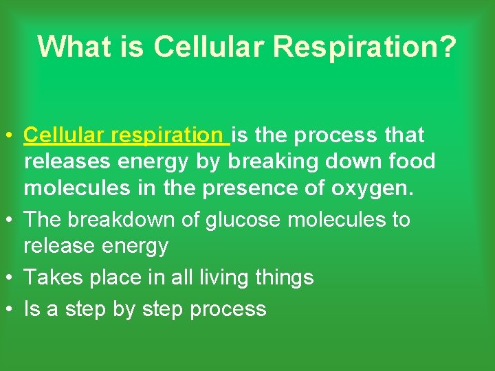 What is Cellular Respiration? • Cellular respiration is the process that releases energy by