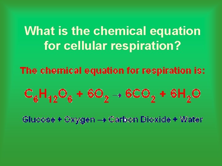 What is the chemical equation for cellular respiration? 