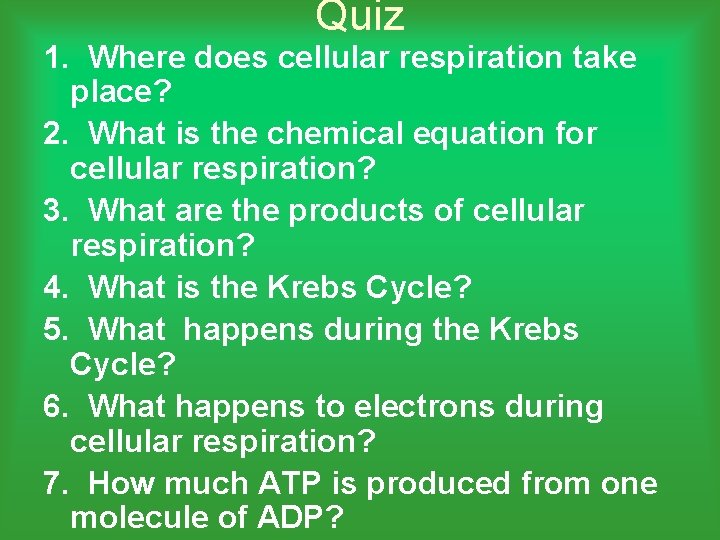 Quiz 1. Where does cellular respiration take place? 2. What is the chemical equation