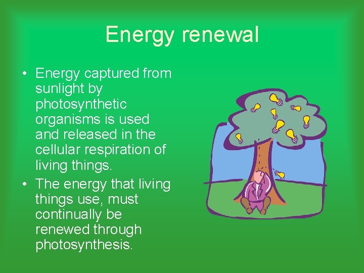 Energy renewal • Energy captured from sunlight by photosynthetic organisms is used and released