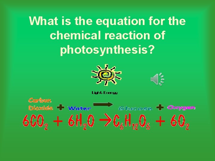 What is the equation for the chemical reaction of photosynthesis? 