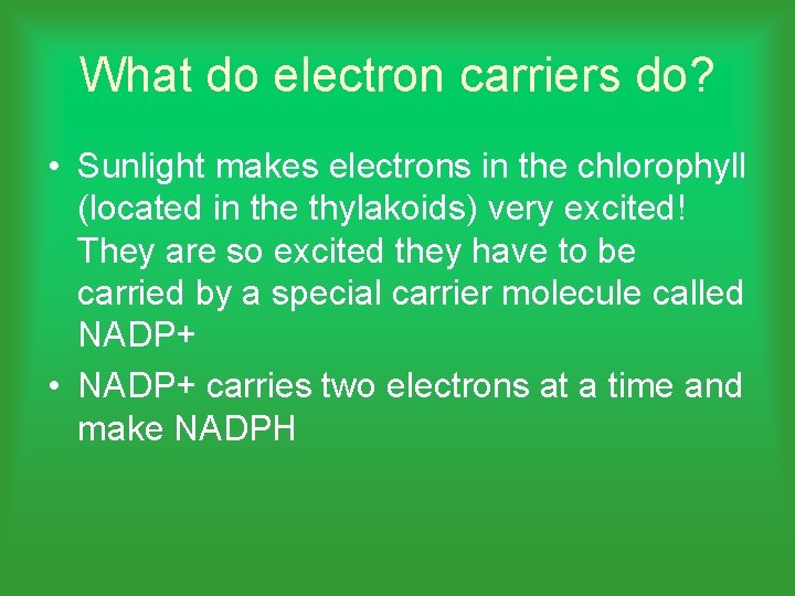 What do electron carriers do? • Sunlight makes electrons in the chlorophyll (located in