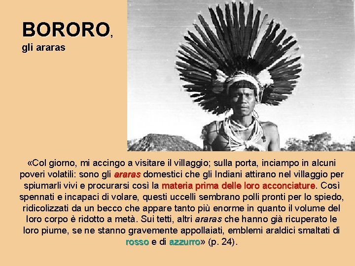 BORORO, gli araras «Col giorno, mi accingo a visitare il villaggio; sulla porta, inciampo