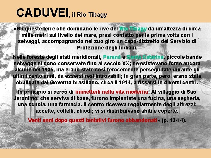 CADUVEI, il Rio Tibagy «Su queste terre che dominano le rive del Rio Tibagy