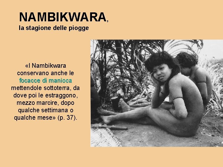 NAMBIKWARA, la stagione delle piogge «I Nambikwara conservano anche le focacce di manioca mettendole