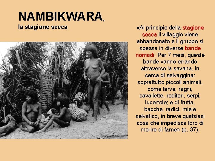 NAMBIKWARA, la stagione secca «Al principio della stagione secca il villaggio viene abbandonato e