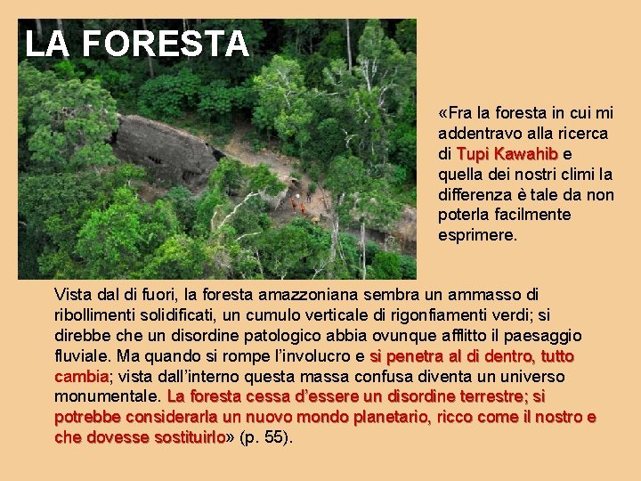 LA FORESTA «Fra la foresta in cui mi addentravo alla ricerca di Tupi Kawahib