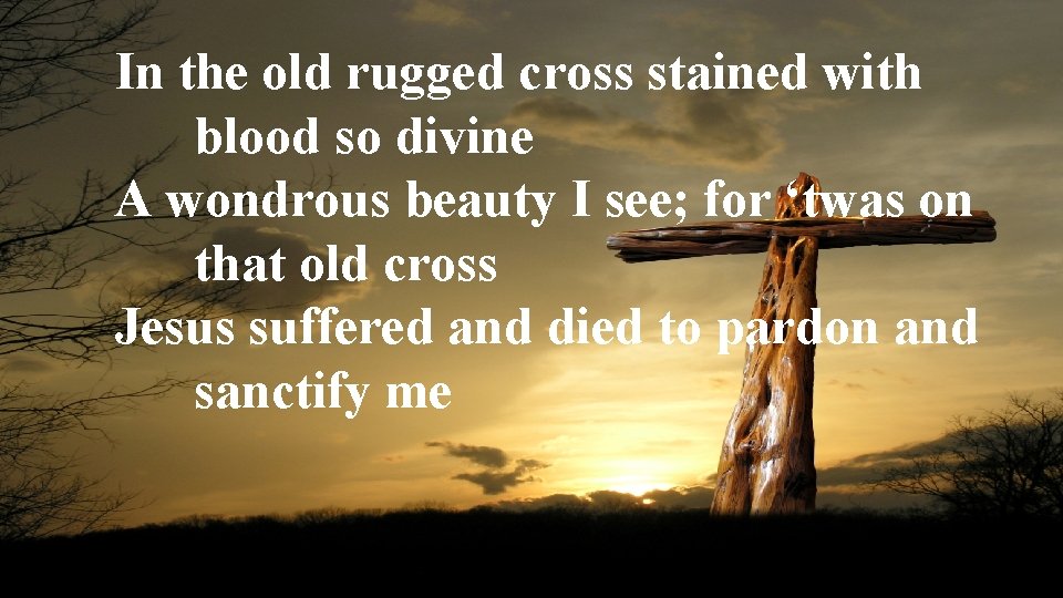 In the old rugged cross stained with blood so divine A wondrous beauty I