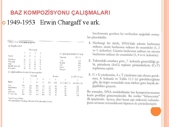BAZ KOMPOZİSYONU ÇALIŞMALARI 1949 -1953 Erwin Chargaff ve ark. 
