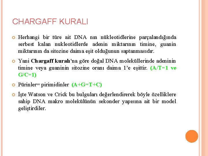 CHARGAFF KURALI Herhangi bir türe ait DNA nın nükleotidlerine parçalandığında serbest kalan nukleotidlerde adenin