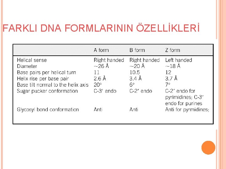 FARKLI DNA FORMLARININ ÖZELLİKLERİ 