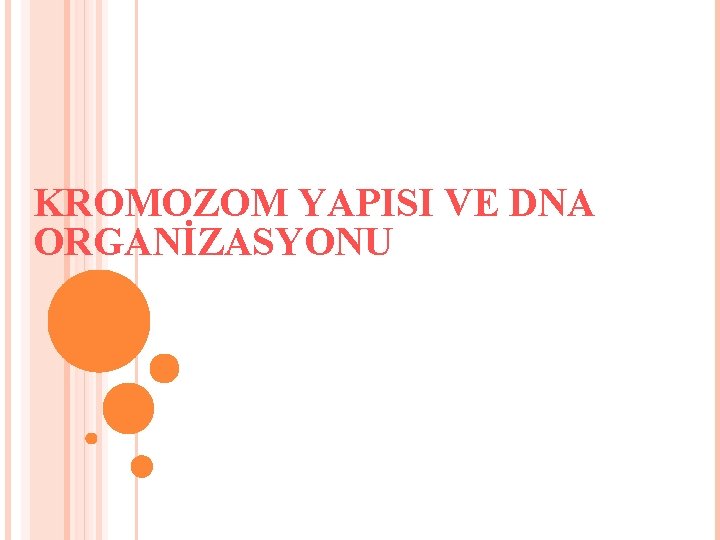 KROMOZOM YAPISI VE DNA ORGANİZASYONU 