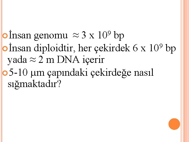  İnsan genomu ≈ 3 x 109 bp İnsan diploidtir, her çekirdek 6 x