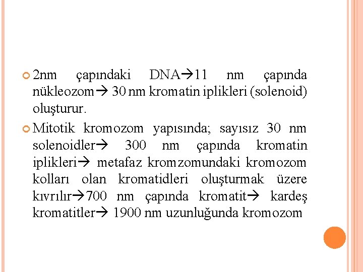  2 nm çapındaki DNA 11 nm çapında nükleozom 30 nm kromatin iplikleri (solenoid)