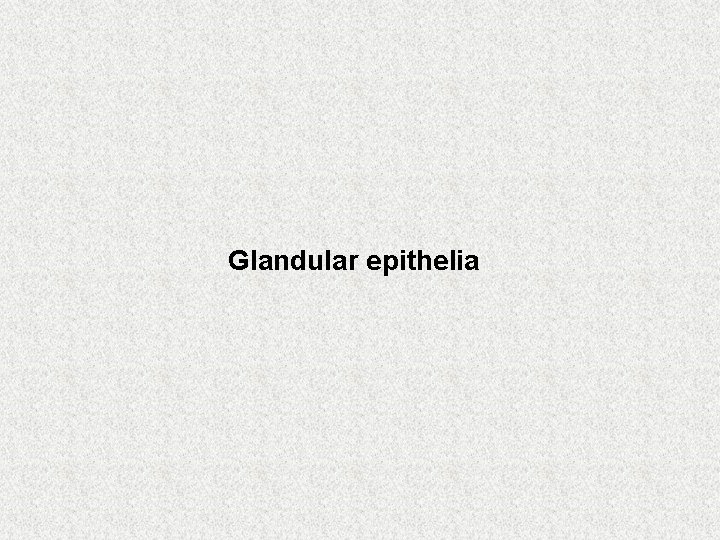 Glandular epithelia 