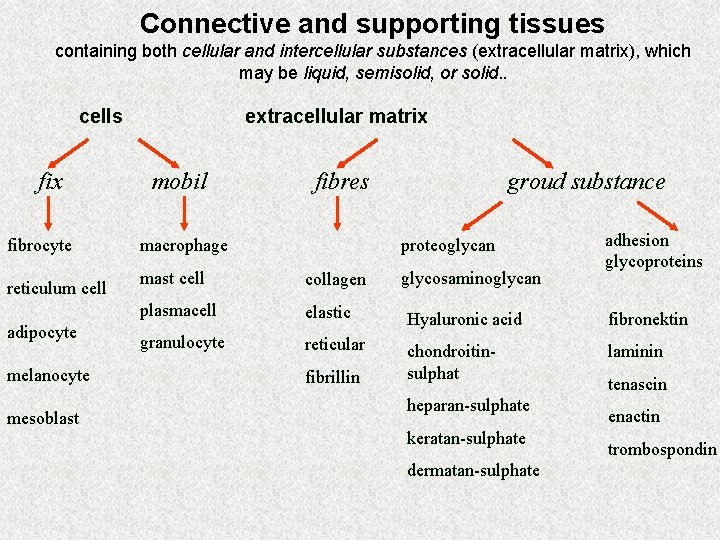 Connective and supporting tissues containing both cellular and intercellular substances (extracellular matrix), which may