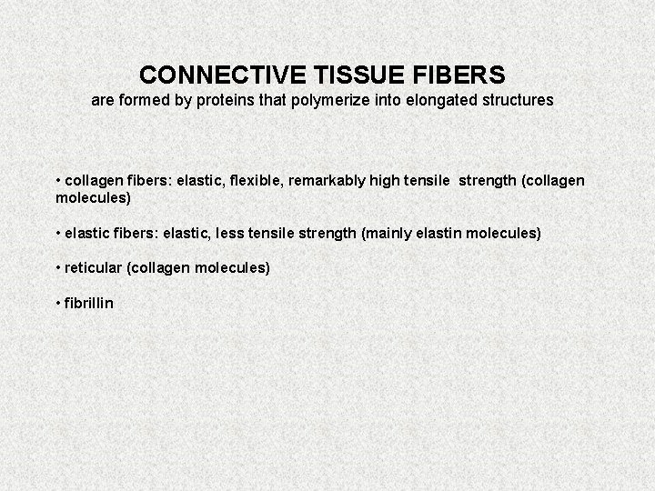 CONNECTIVE TISSUE FIBERS are formed by proteins that polymerize into elongated structures • collagen