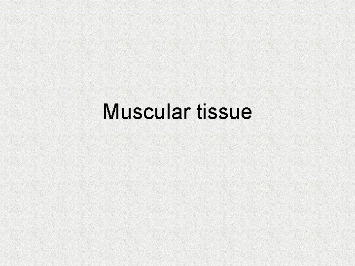 Muscular tissue 