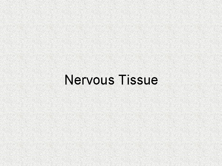 Nervous Tissue 