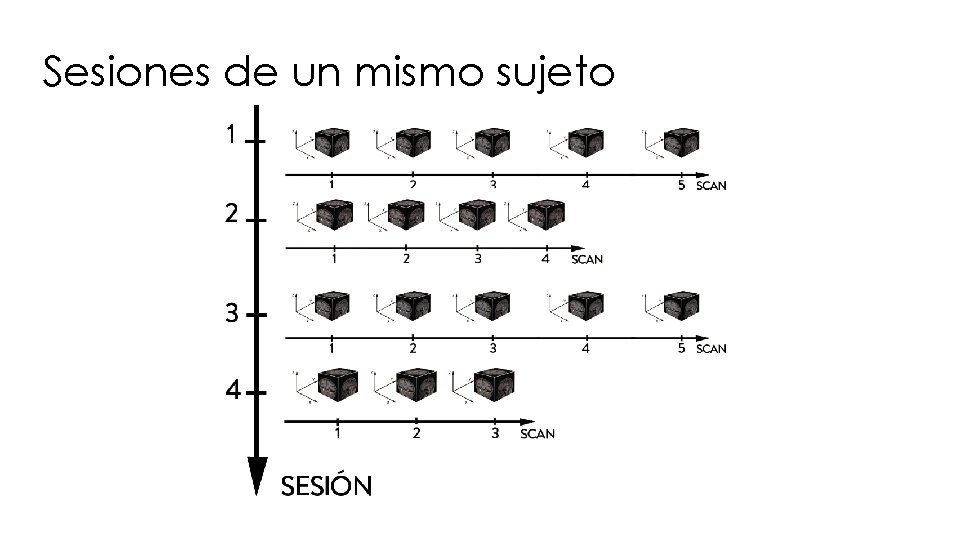 Sesiones de un mismo sujeto 